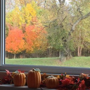 Meet your Posher, Loretta